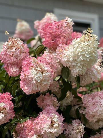 118 Sawyer Hill Road, Canaan, NH 03741