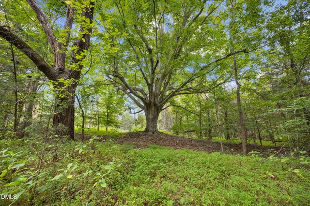 Lot D Wolf Tree Way, Efland, NC 27243