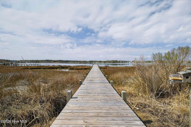 161 Big Hammock Point Road, Sneads Ferry, NC 28460