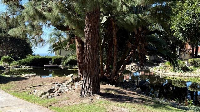 27125 Mill Pond, Dana Point, CA 92624