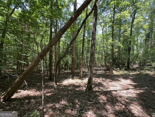 0 Rocky Point Road, Covington, GA 30014