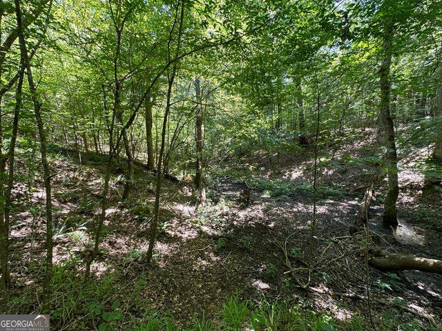 0 Rocky Point Road, Covington, GA 30014