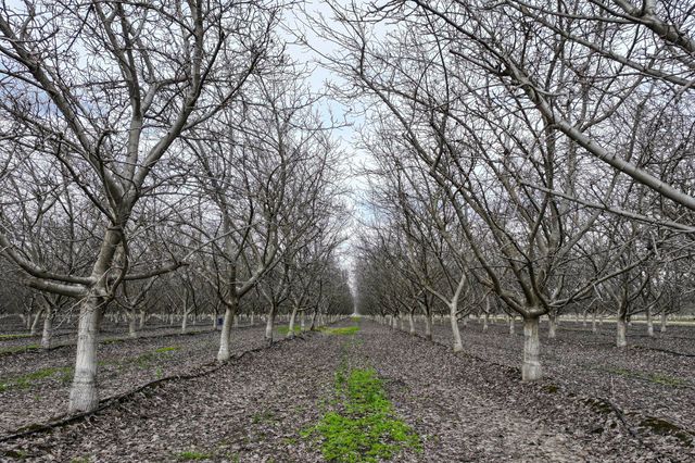 0 Road 138, Visalia, CA 93292