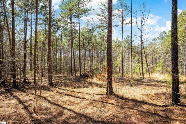 23B Big Jake Pass, Travelers Rest, SC 29690