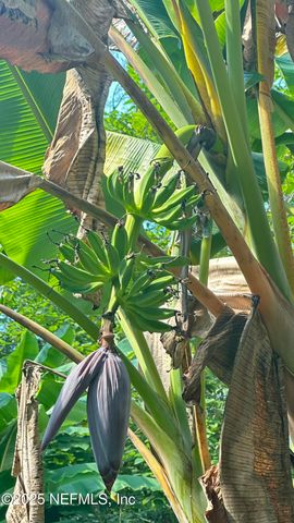 7488 RICKER Road, Jacksonville, FL 32244