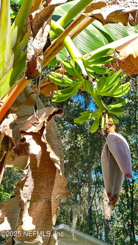 7488 RICKER Road, Jacksonville, FL 32244