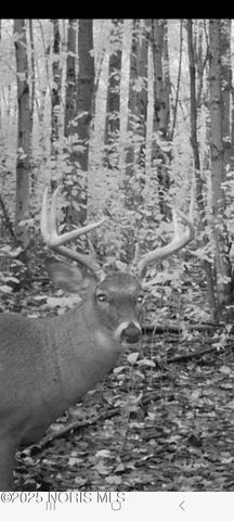 11260 Monclova Road, Monclova, OH 43542