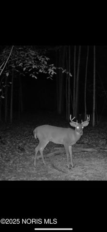 11260 Monclova Road, Monclova, OH 43542