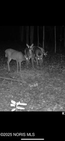 11260 Monclova Road, Monclova, OH 43542