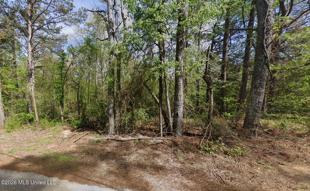 5 Co Rd 521, Como, MS 38619 — photo 2
