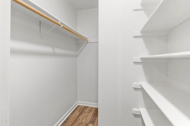 11704 Natrona DR, Austin, TX 78759