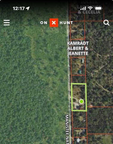 11164 N Merrillville Road, Irons, MI 49644