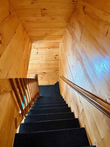 11164 N Merrillville Road, Irons, MI 49644