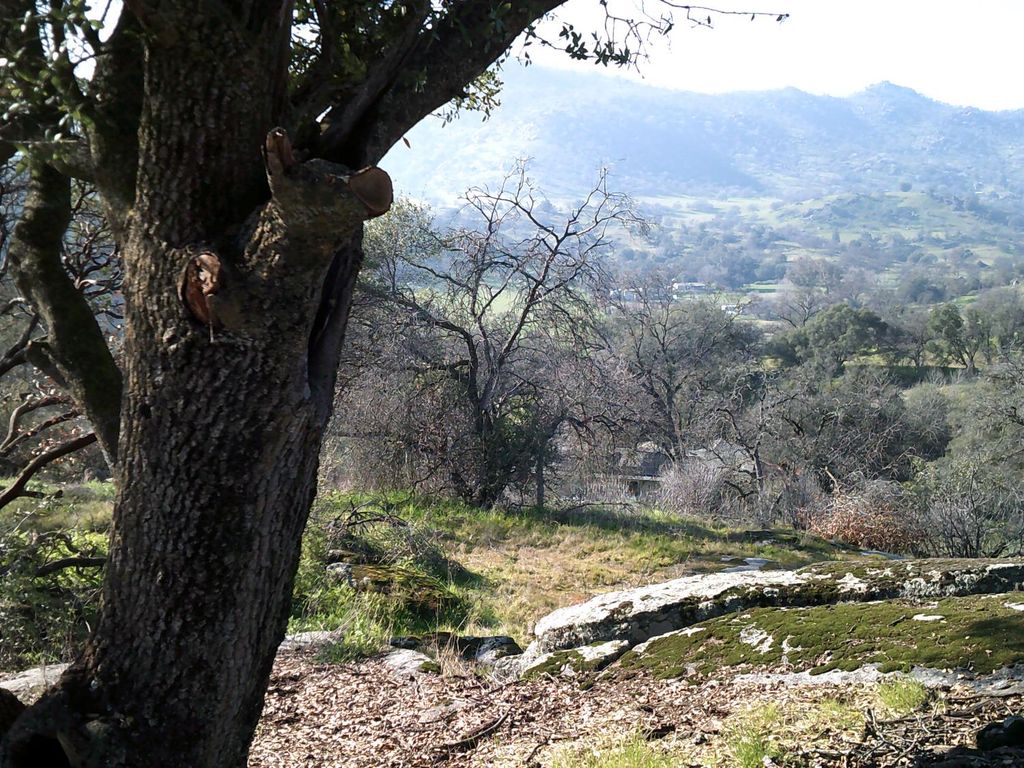 Image 11 of property listing at 38949 Roundtree Lane, Yokuts Valley, CA 93675