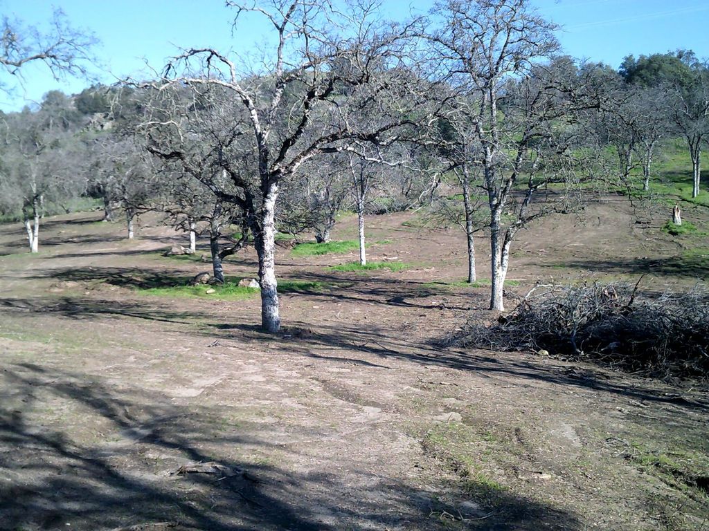 Image 17 of property listing at 38949 Roundtree Lane, Yokuts Valley, CA 93675
