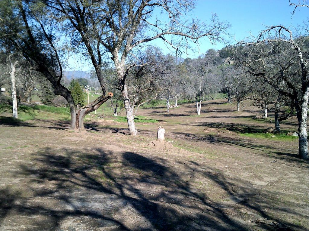 Image 19 of property listing at 38949 Roundtree Lane, Yokuts Valley, CA 93675