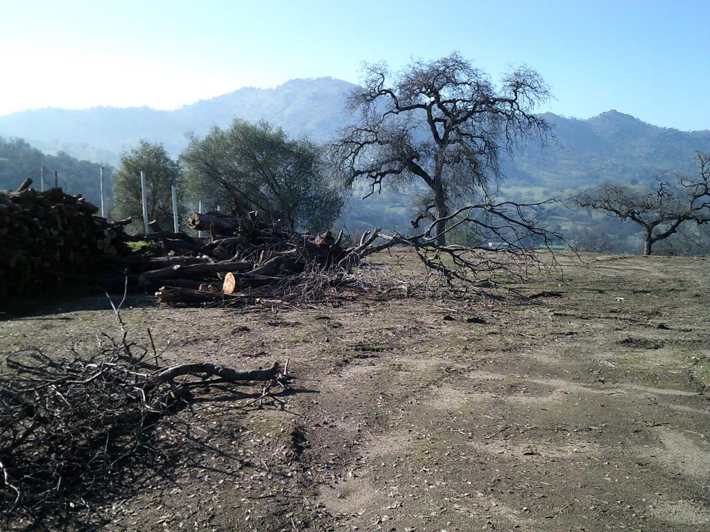 Image 20 of property listing at 38949 Roundtree Lane, Yokuts Valley, CA 93675