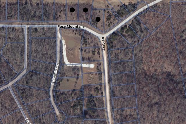 Lots 321-323 Posy Mountain Drive, Garfield, AR 72732