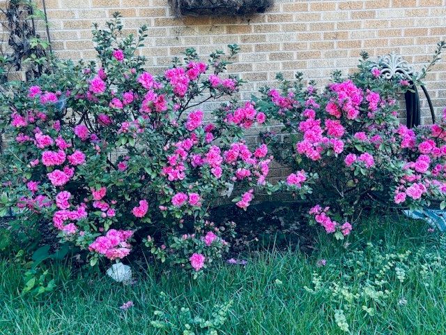 2802 Honeysuckle Lane, Russellville, AR 72801