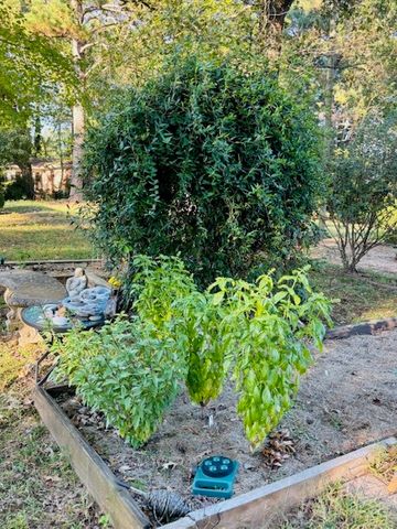 2802 Honeysuckle Lane, Russellville, AR 72801