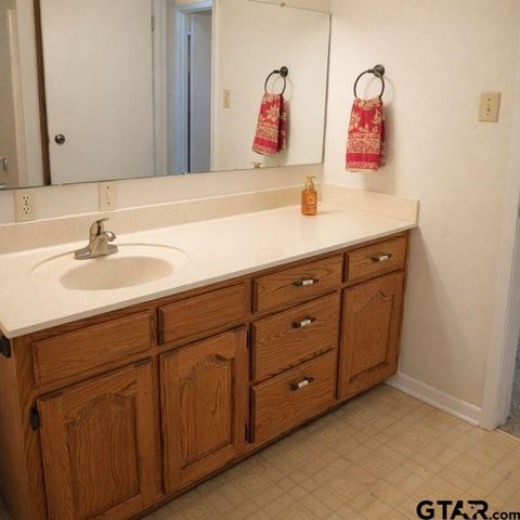 543 CR 2940 (Golden), Alba, TX 75410