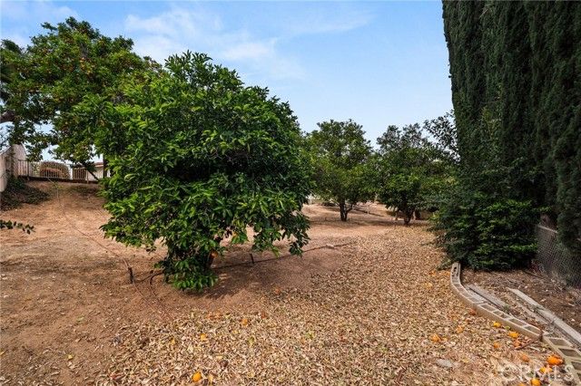 30587 Los Altos, Redlands, CA 92373