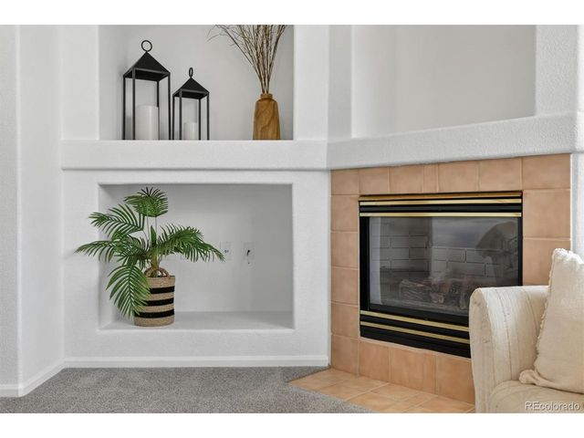 10318 Adams Pl, Thornton, CO 80229