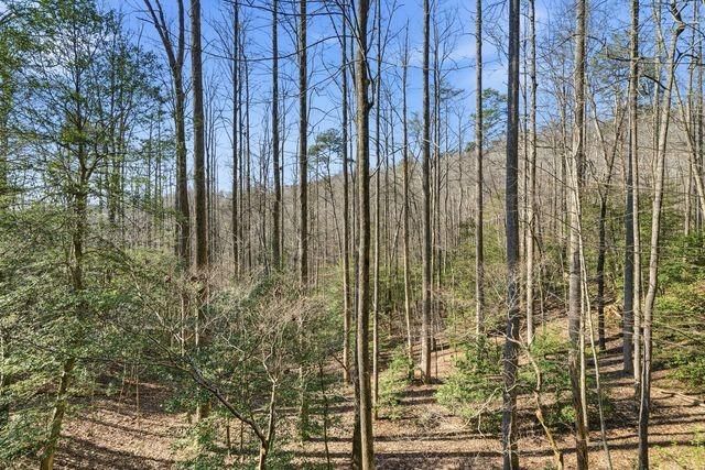 266 Chimney Rock Road, Cherry Log, GA 30522
