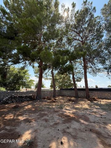 1709 BRUCE DEVLIN Drive, El Paso, TX 79935