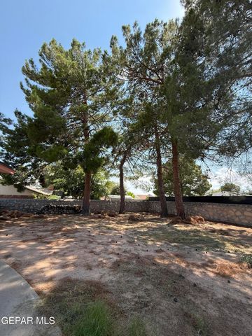 1709 BRUCE DEVLIN Drive, El Paso, TX 79935
