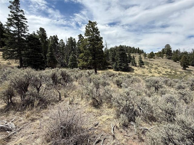 5428 Balleroy Rd, Fort Garland, CO 81133