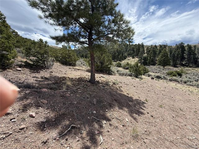 5428 Balleroy Rd, Fort Garland, CO 81133