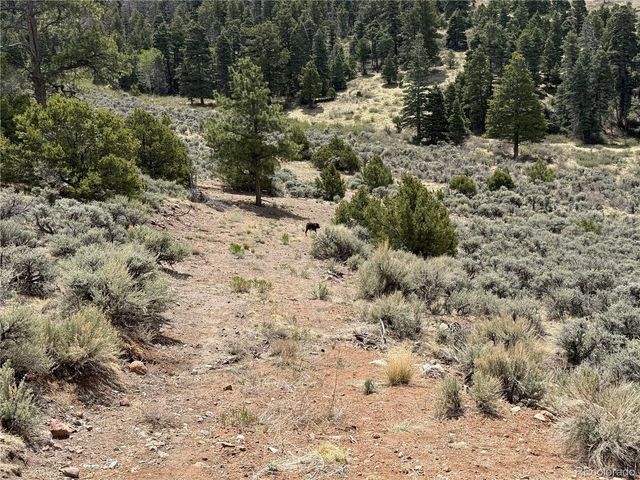 5428 Balleroy Rd, Fort Garland, CO 81133