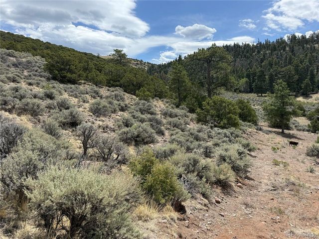 5428 Balleroy Rd, Fort Garland, CO 81133