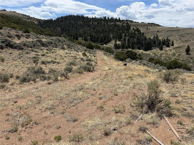 5428 Balleroy Rd, Fort Garland, CO 81133