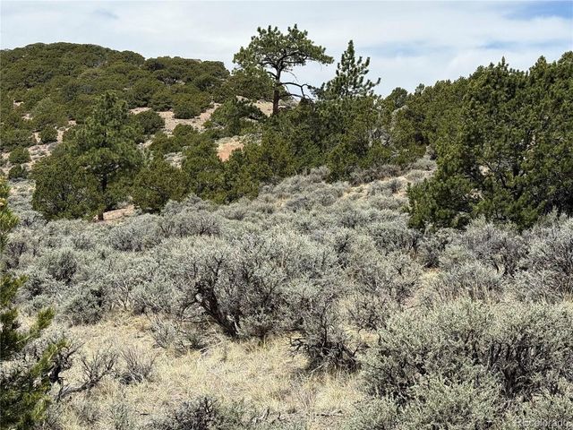 5428 Balleroy Rd, Fort Garland, CO 81133