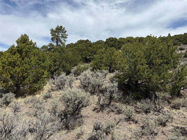 5428 Balleroy Rd, Fort Garland, CO 81133