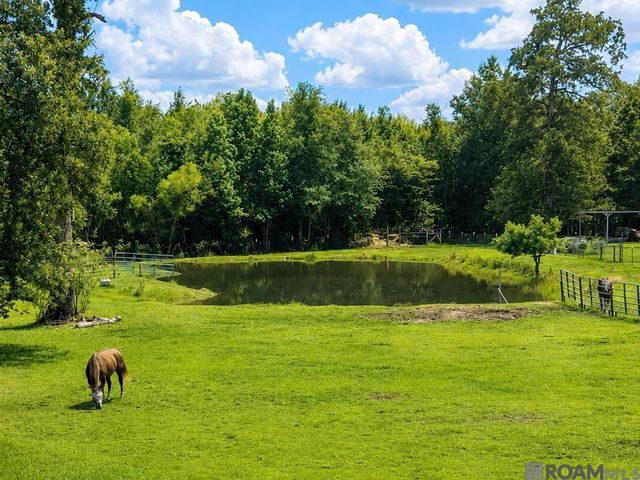 22268 La Hwy 42, Livingston, LA 70754