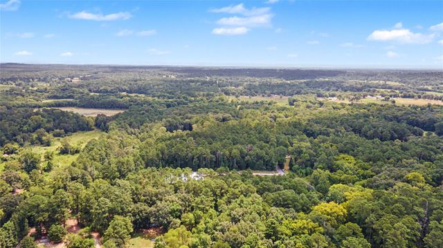 TBD Bilnoski Road, Willis, TX 77378