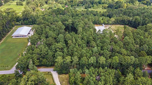 TBD Bilnoski Road, Willis, TX 77378
