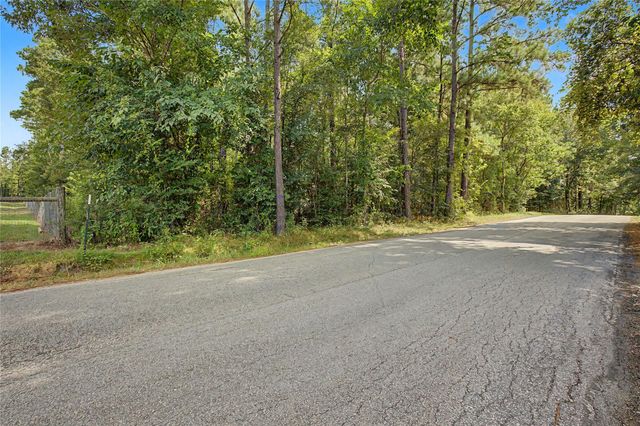 TBD Bilnoski Road, Willis, TX 77378