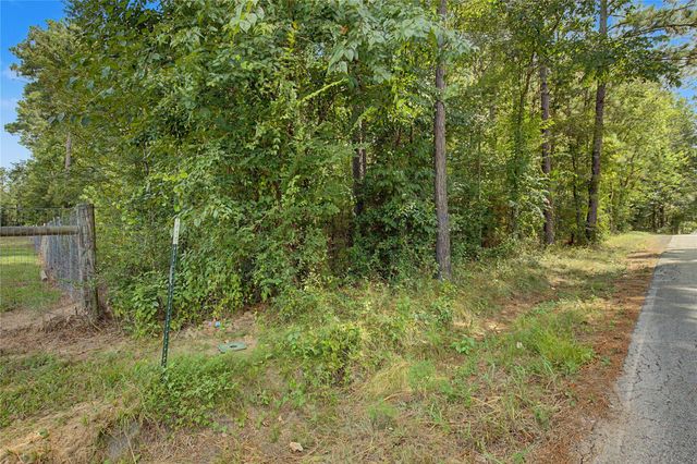 TBD Bilnoski Road, Willis, TX 77378