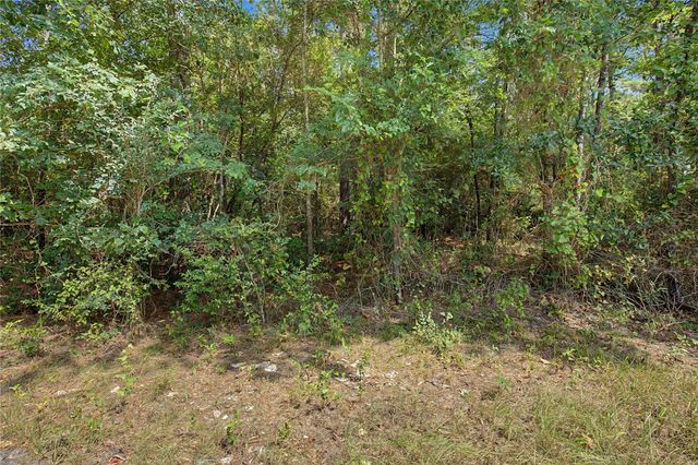 TBD Bilnoski Road, Willis, TX 77378