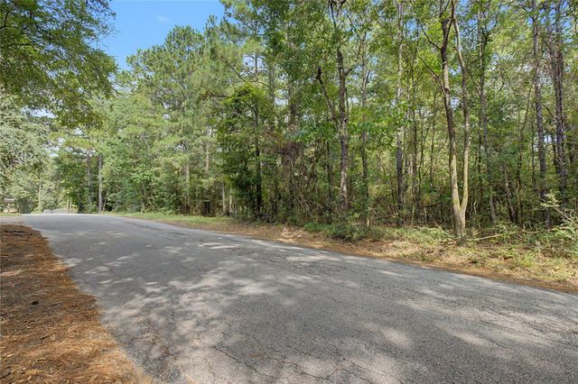 TBD Bilnoski Road, Willis, TX 77378