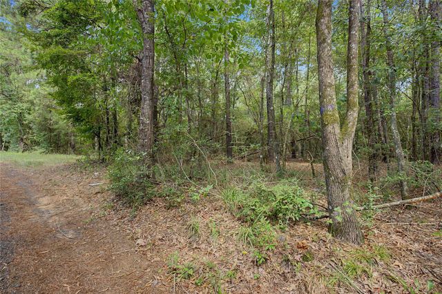 TBD Bilnoski Road, Willis, TX 77378