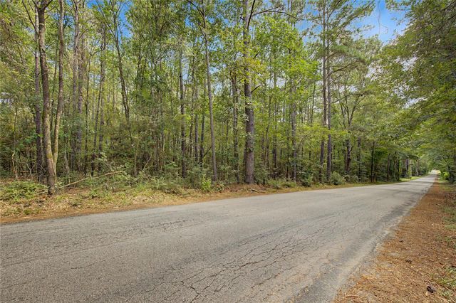 TBD Bilnoski Road, Willis, TX 77378