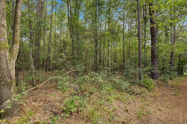 TBD Bilnoski Road, Willis, TX 77378