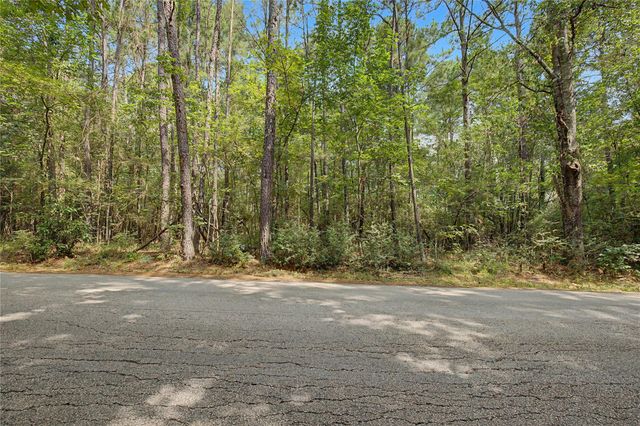 TBD Bilnoski Road, Willis, TX 77378