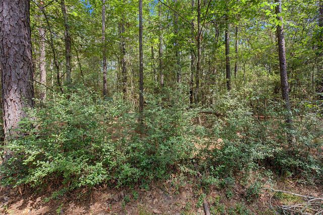 TBD Bilnoski Road, Willis, TX 77378