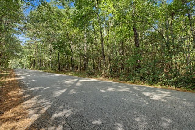 TBD Bilnoski Road, Willis, TX 77378